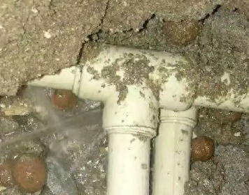 西工测漏水多少钱