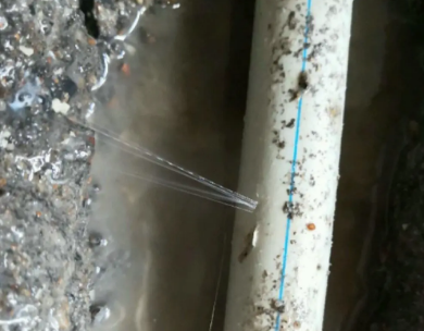 西工测漏水哪家好