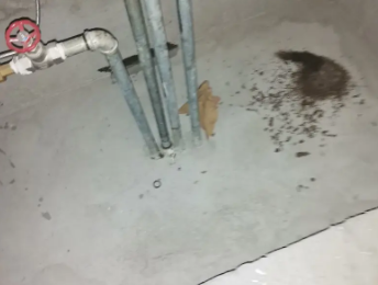 西工卫生间测漏水价格明细