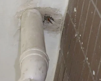 西工漏水检测哪家好